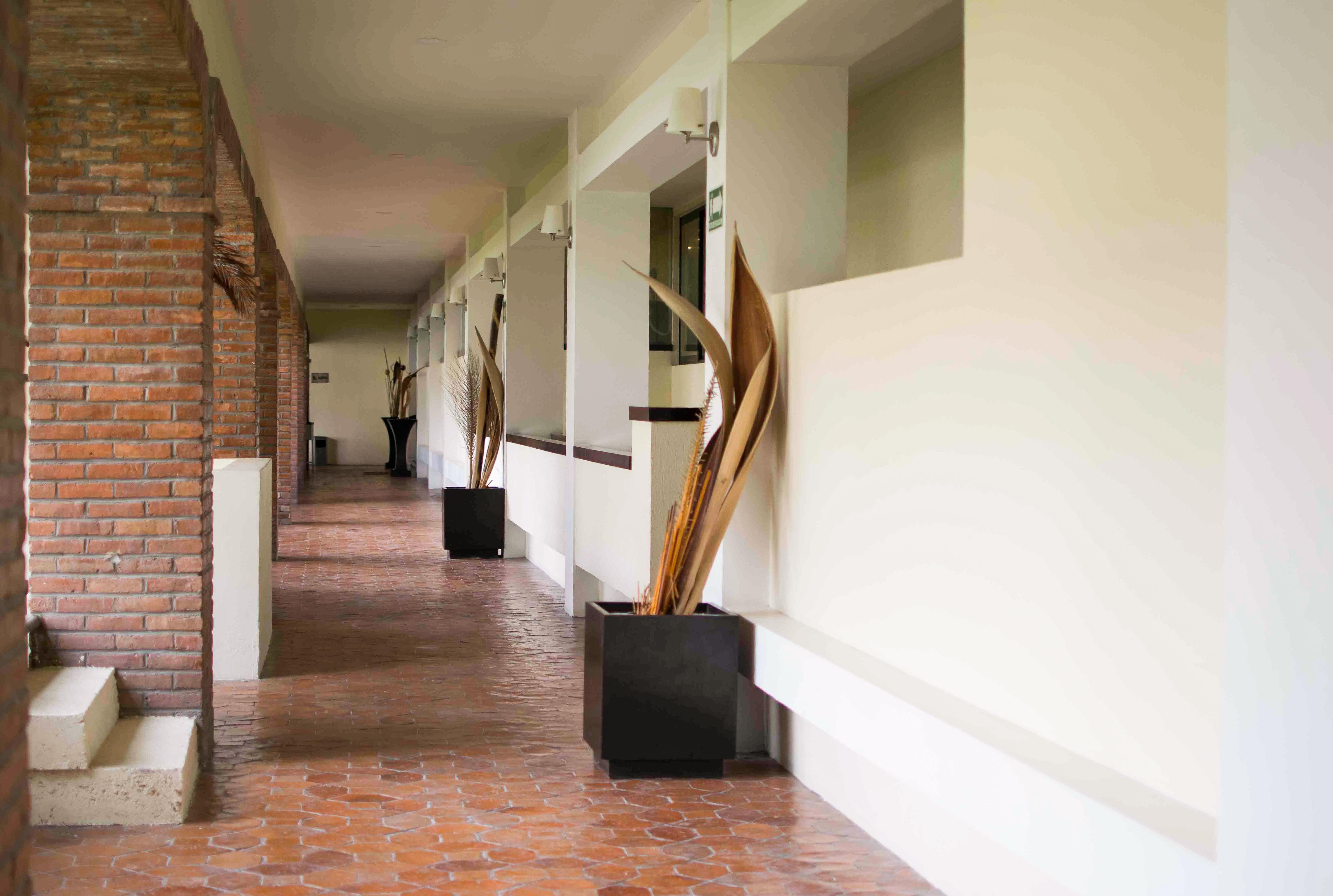 Wyndham Garden Aguascalientes Hotel & Casino Eksteriør bilde